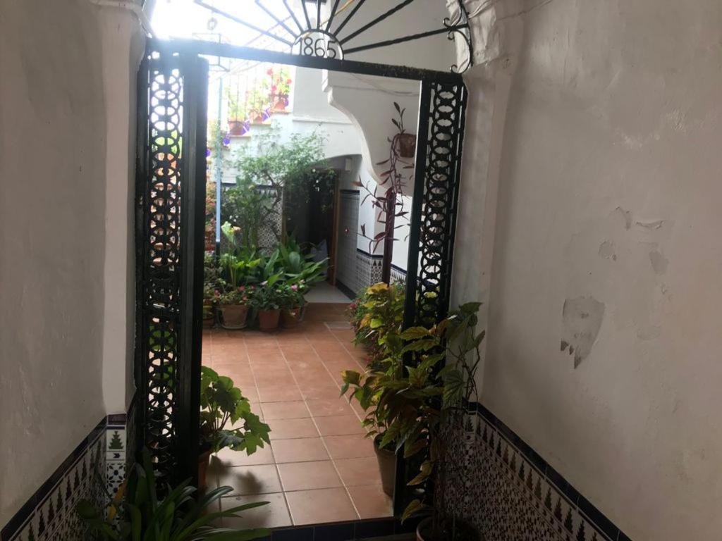 Antonio Ureba 9 Apartman Conil De La Frontera Kültér fotó